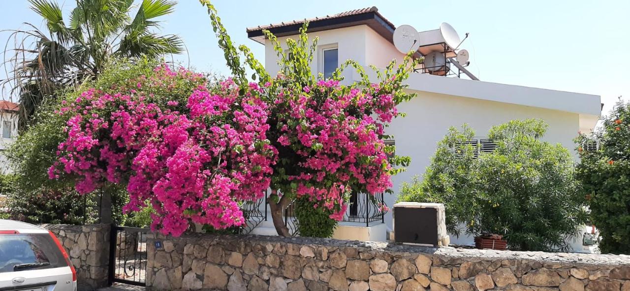 Villa Bougainvillea With Privite Pool Василия Экстерьер фото