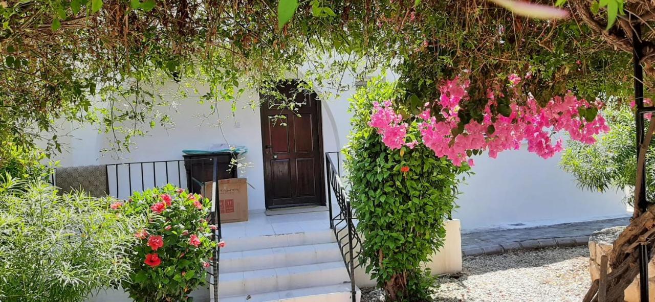 Villa Bougainvillea With Privite Pool Василия Экстерьер фото